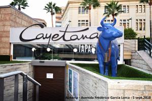 13 ALMERIA - RAMBLA FREDERICO GARCIA LORCA (41)